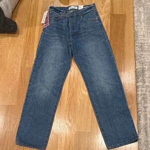 Aritzia Denim Forum High Rise Baggy Jean, 26W